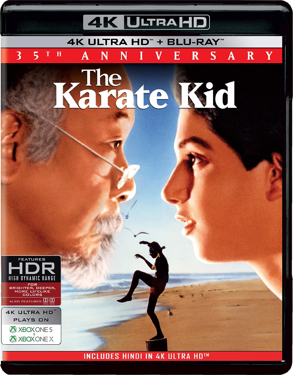 The Karate Kid (1984) 480p | 720p | 1080p | 2160p UHD BluRay REMUX Dual Audio [Hindi BD2.0 + English DTS-HD MA 7.1] ESub