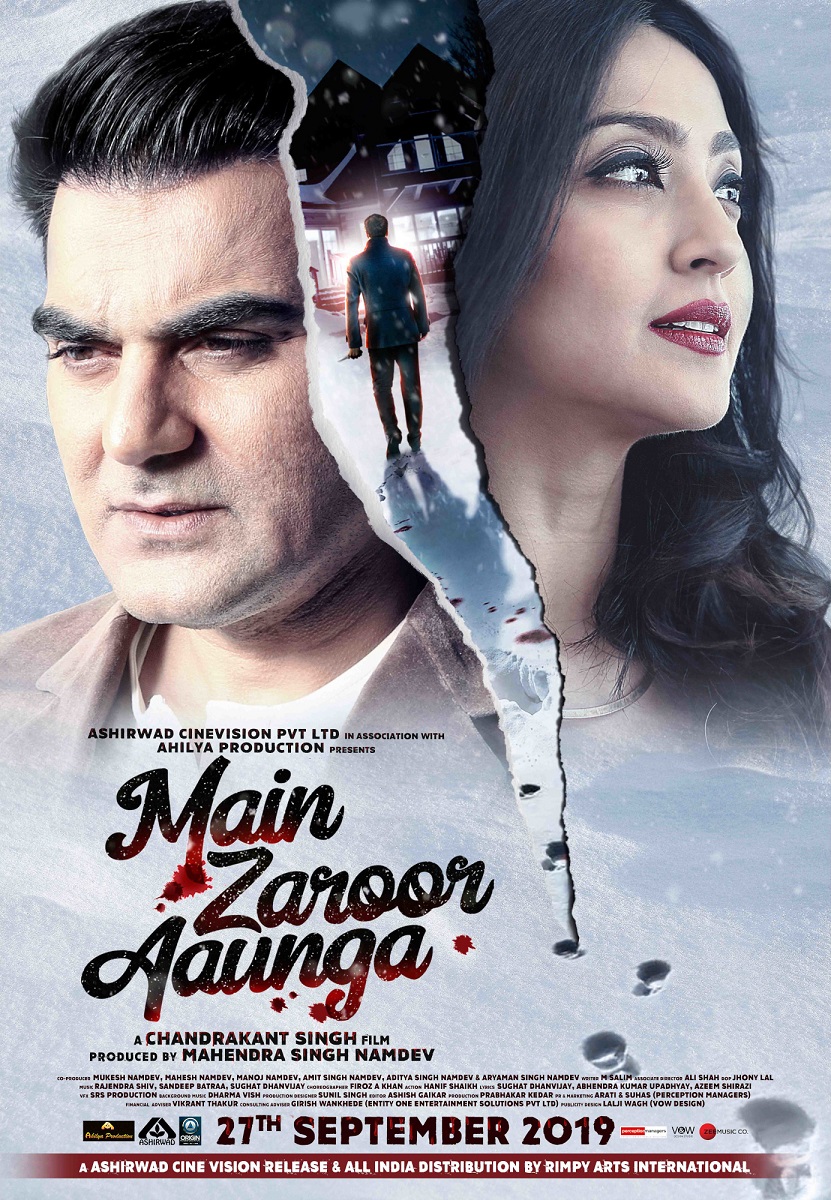Main Zaroor Aaunga (2019) 480p | 720p | 1080p SM WEB-DL Hindi DD2.0